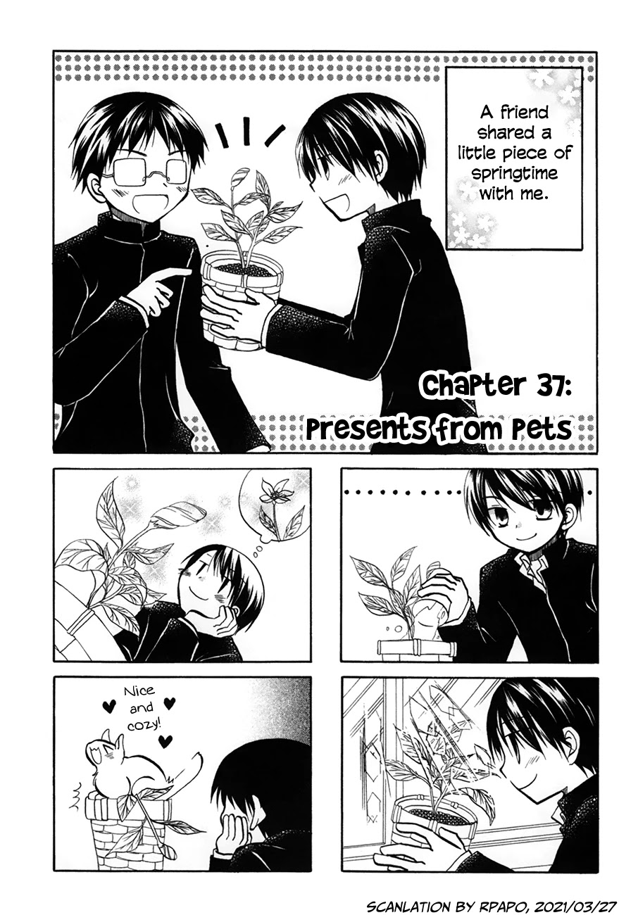 Chokotto Hime Chapter 37 page 1 - Chapter 37: Presents from Pets