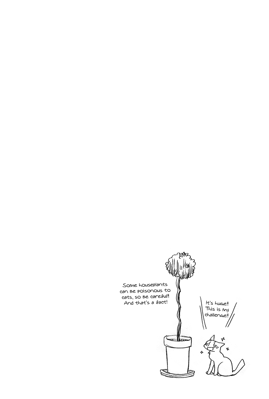 Chokotto Hime Chapter 37 page 12 - Chapter 37: Presents from Pets