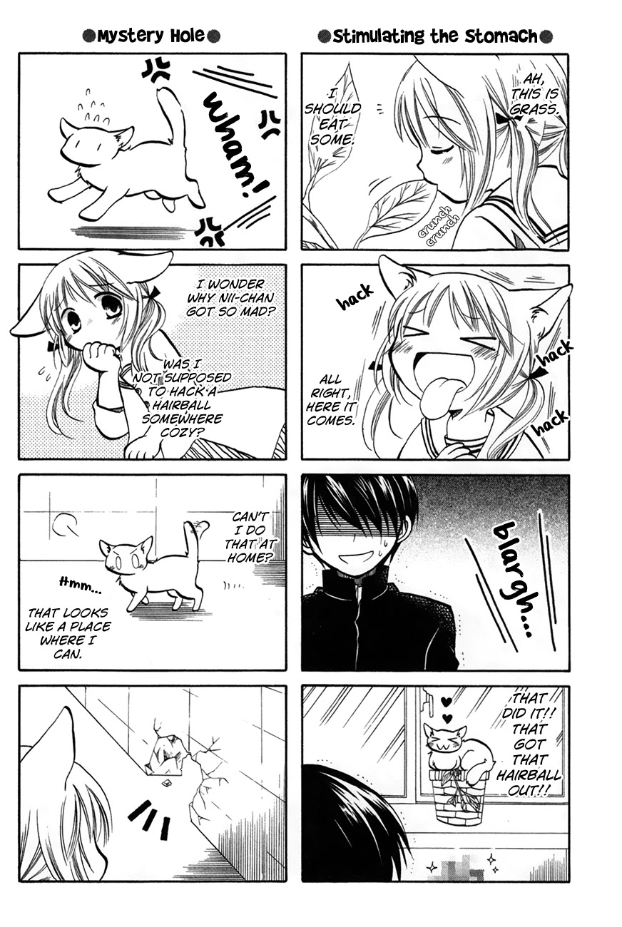 Chokotto Hime Chapter 37 page 2 - Chapter 37: Presents from Pets