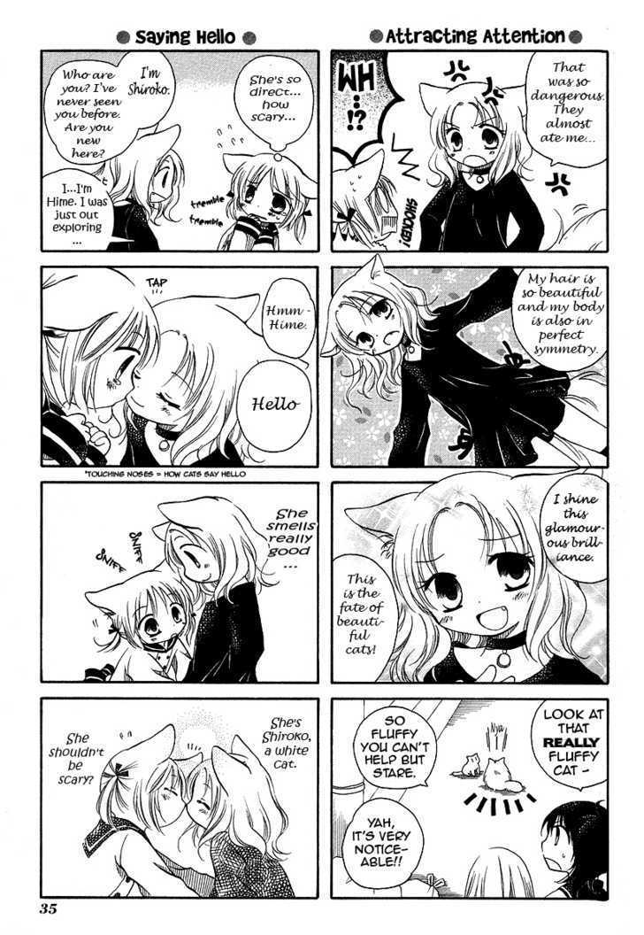Chokotto Hime Chapter 4 page 3 - Chapter 4 : Model Neko, Hello