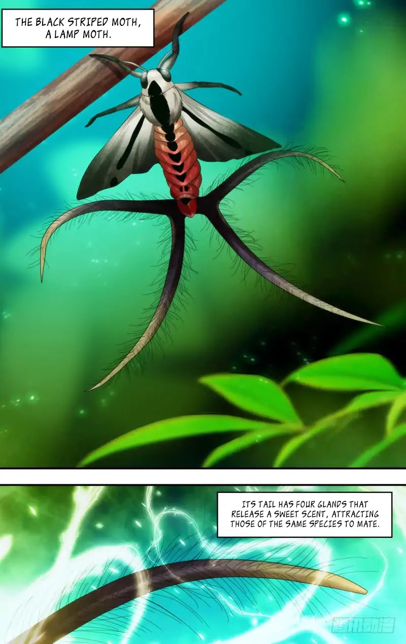 Chong Sheng - Resurrection Chapter 199 page 13 - Chapter 199: The Scent Of Perfume