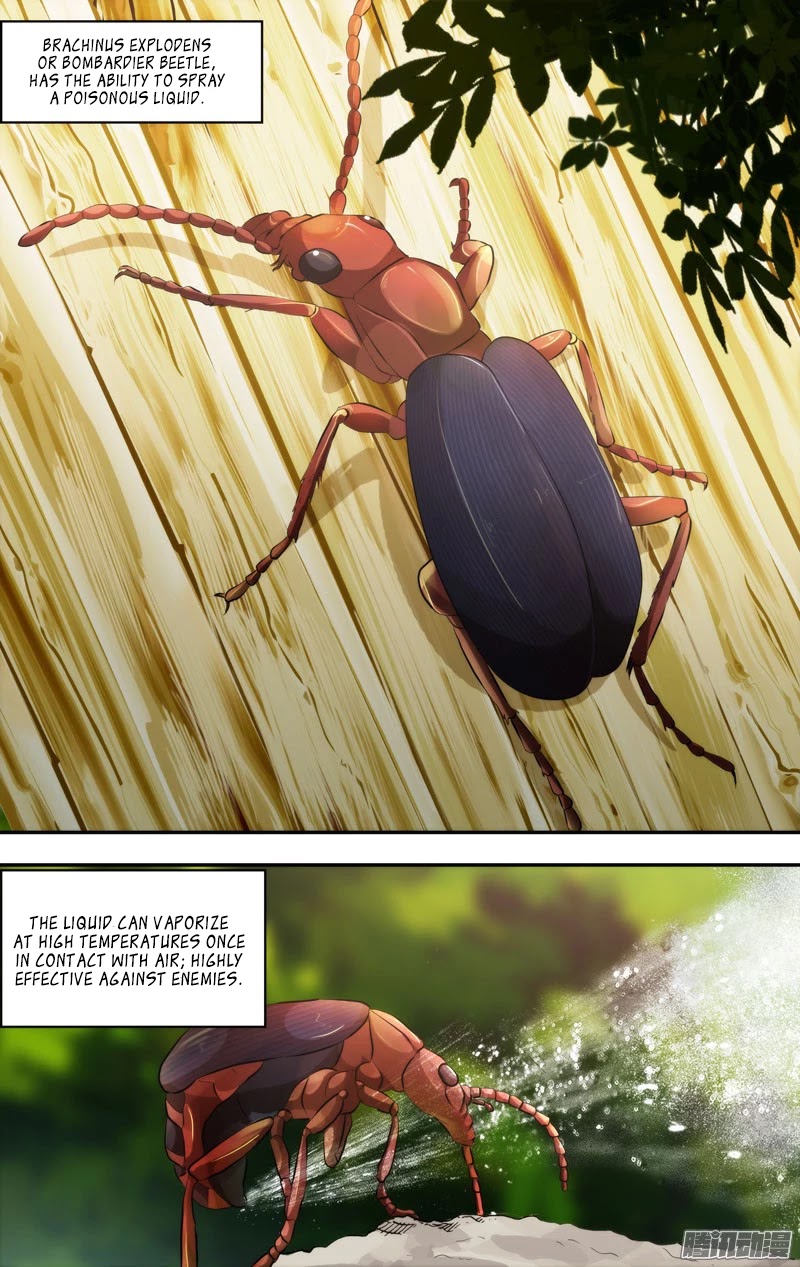 Chong Sheng - Resurrection Chapter 55 page 4 - Chapter 55: Brachinus Explodens