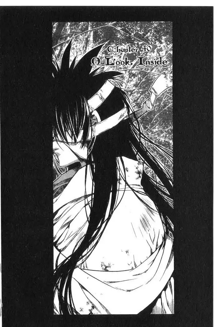 Chronicles of the Cursed Sword Chapter 10.40 page 1 - Vol.10 Chapter 40: A Look Inside
