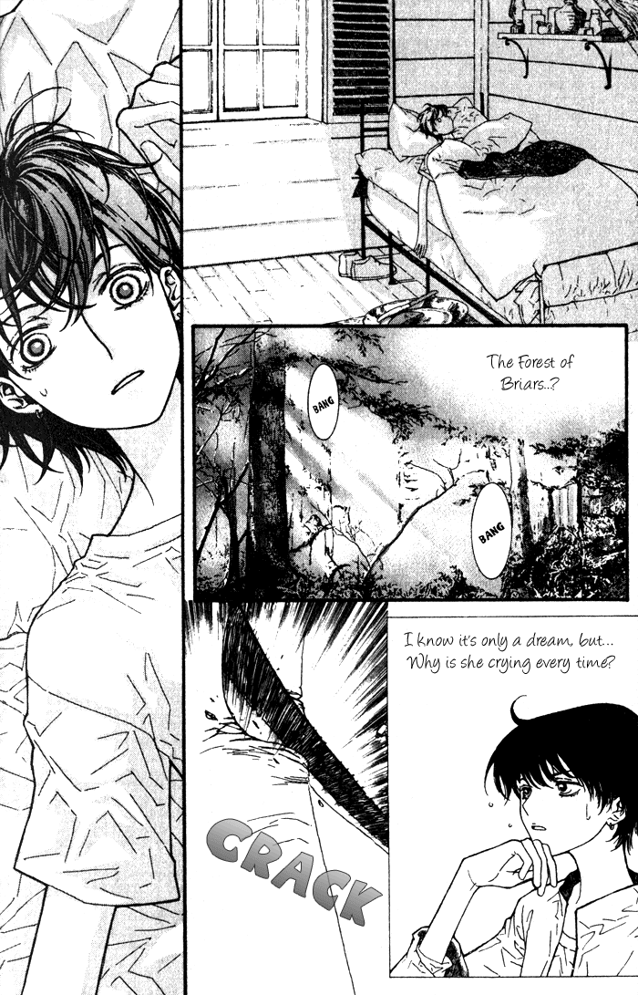 Chronicles of the Grim Peddler Chapter 1 page 10 - Chapter 1: The Sleeping Princess