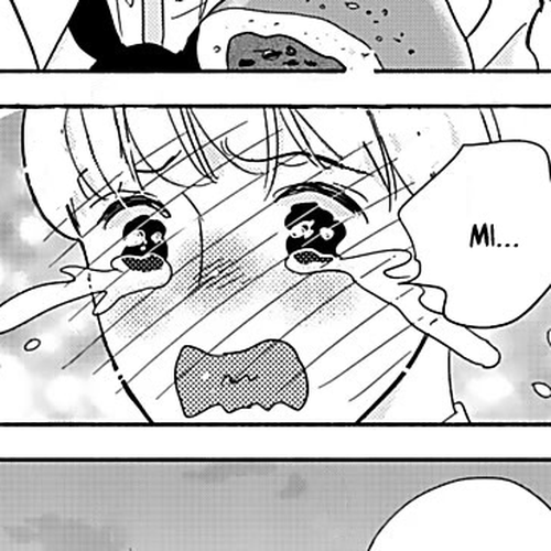 Chubby, Love and Mistakes! Chapter 15.5: Extra cover