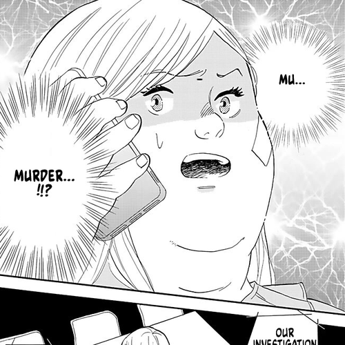 Chubby, Love and Mistakes! Chapter 2: Beauty is a sin..... cover