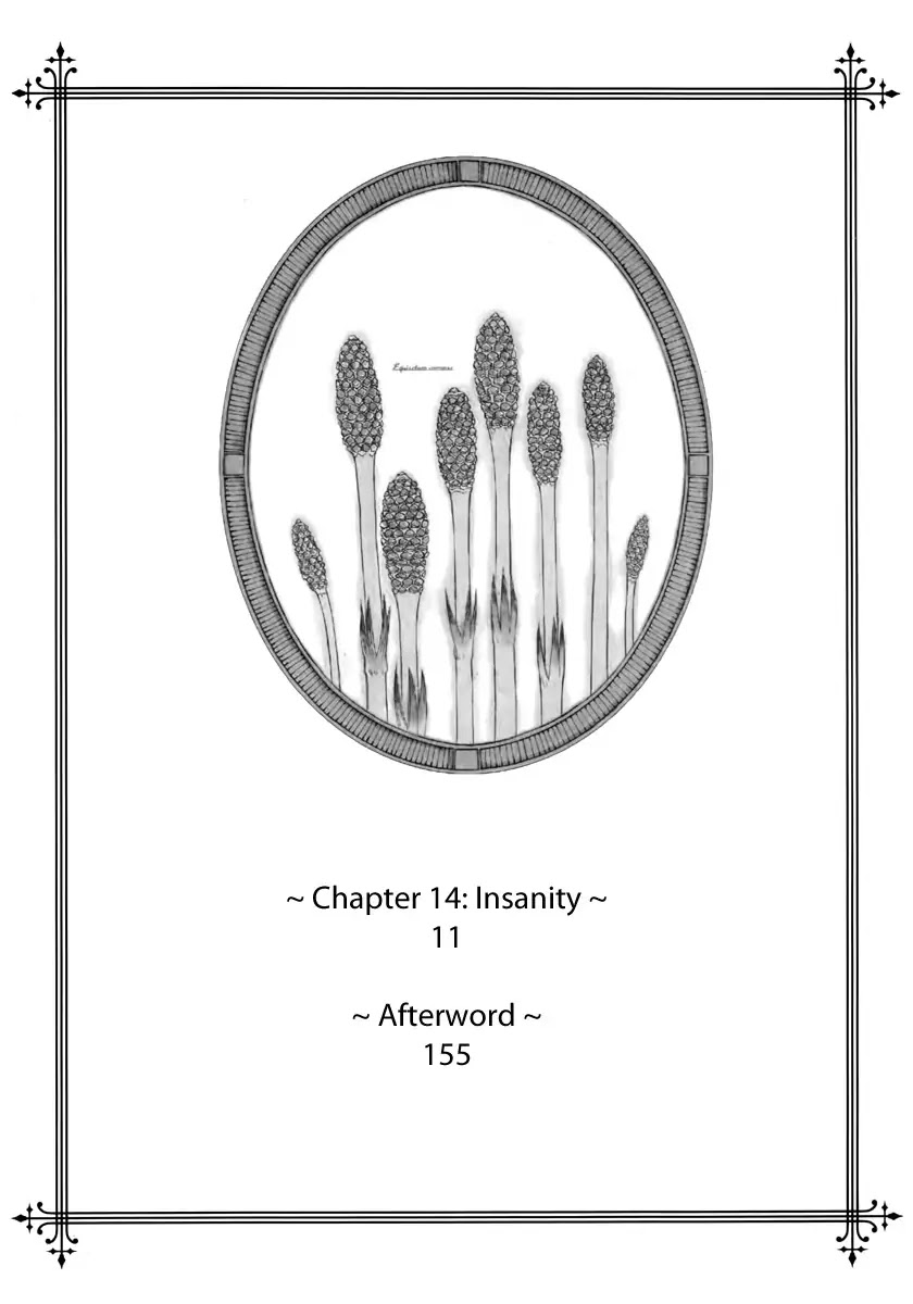 Ciel~the Last Autumn Story~ Chapter 14.1 page 8 - Chapter 14.1: Insanity (1)
