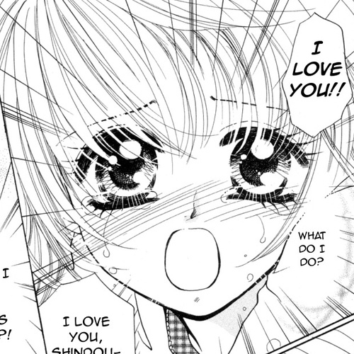 Cinderella Collection Chapter 11 cover