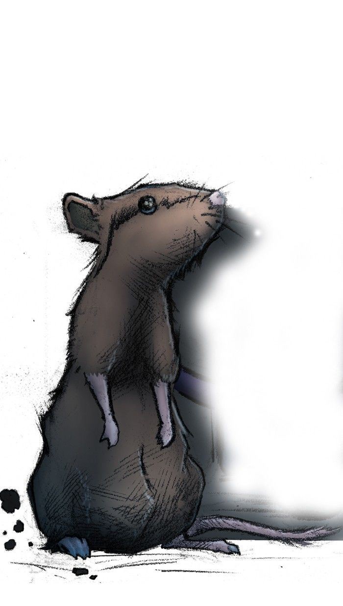 City of Walls Chapter 36 page 3 - Chapter 36