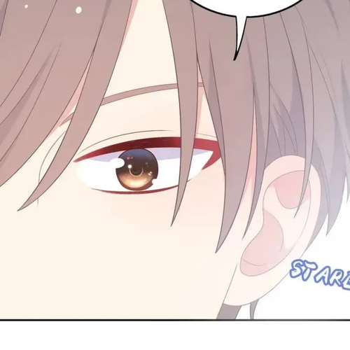 City Prince and Amazon Princess Chapter 19 cover