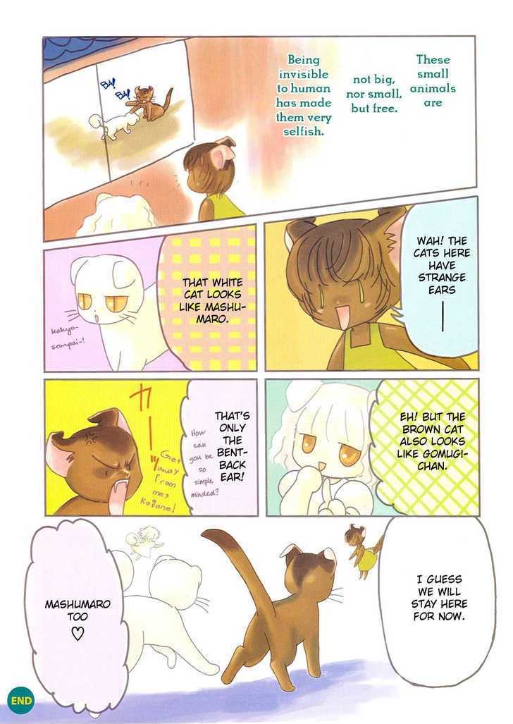 CLAMP no Kiseki Chapter 1.0 page 2 - Vol.01 Chapter 0 : I saw Fairy-chan
