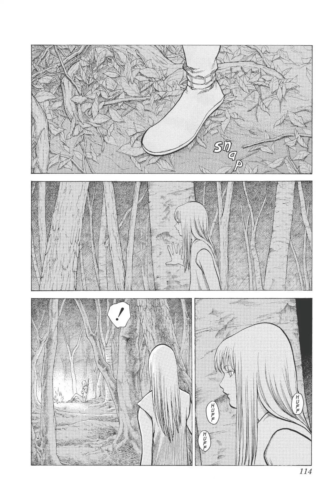 Claymore Chapter 13 page 17 - Chapter 13: Vol.3 Scene 13: Teresa of the Faint Smile, Part 2