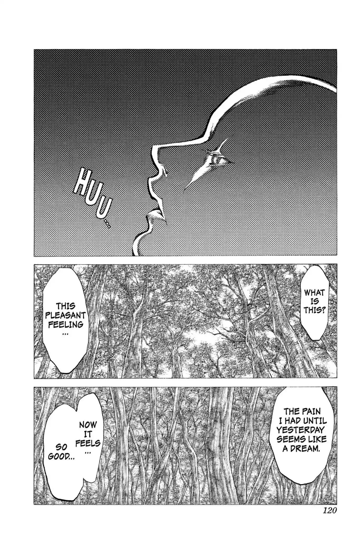 Claymore Chapter 37 page 31 - Chapter 37: Vol.7 Scene 37: Fit for Battle, Part 1