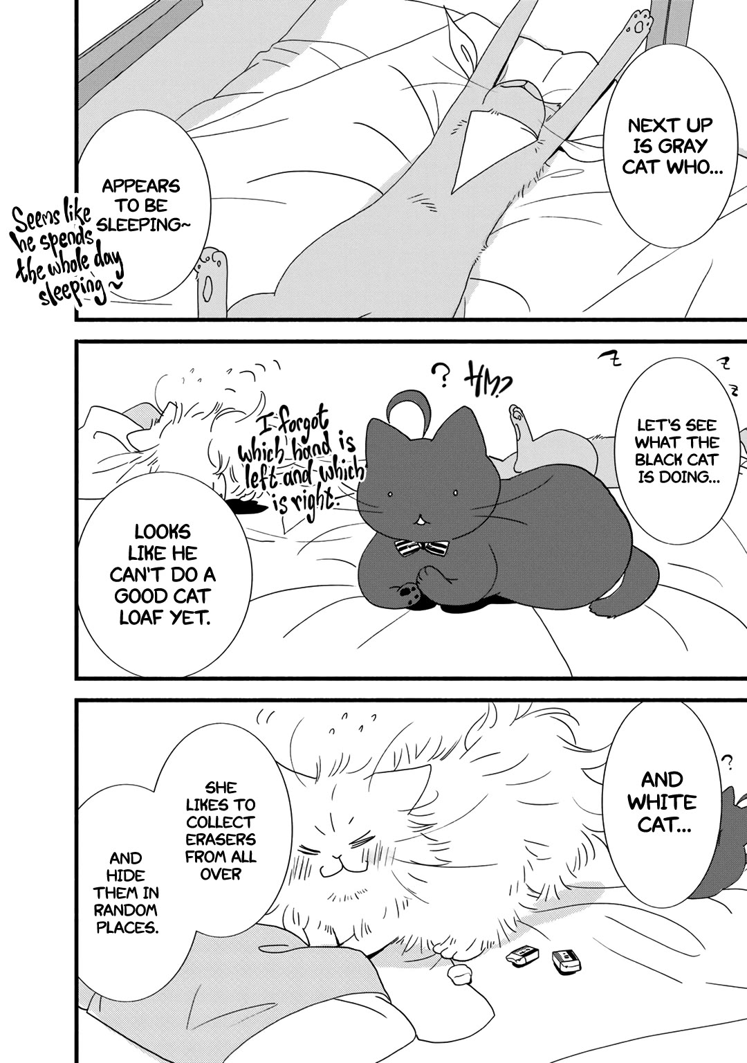 Coffee & Cat Chapter 21.5 page 3 - Chapter 21.5: Bonus Chapter 1