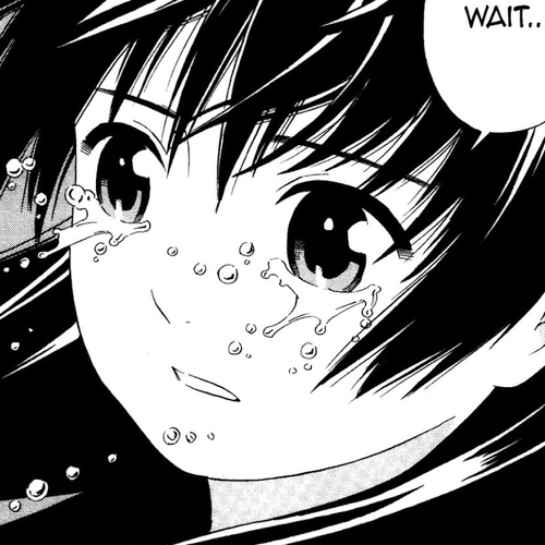 Companion Chapter 10 cover