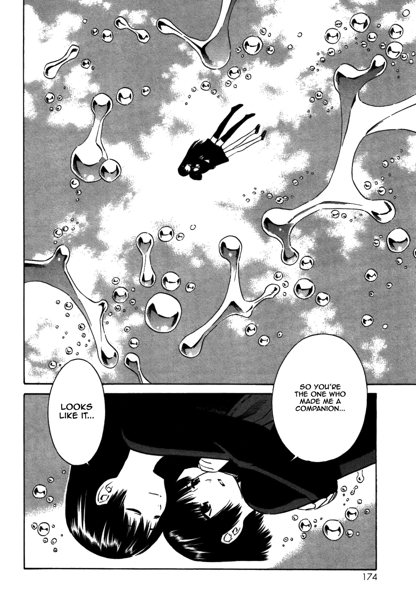 Companion Chapter 17 page 25 - Chapter 17