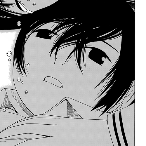 Companion Chapter 19 cover