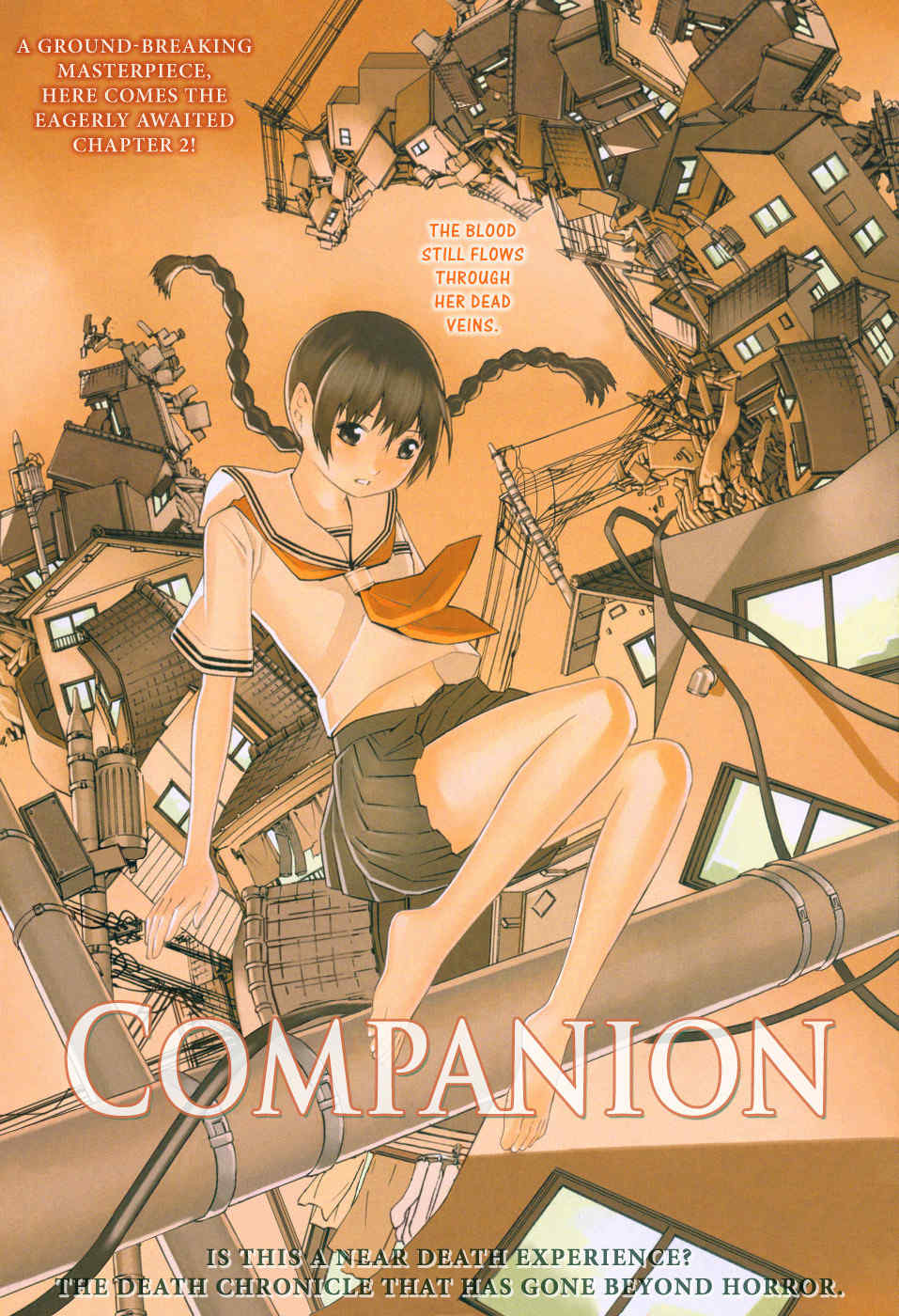 Companion Chapter 2 page 1 - Chapter 2