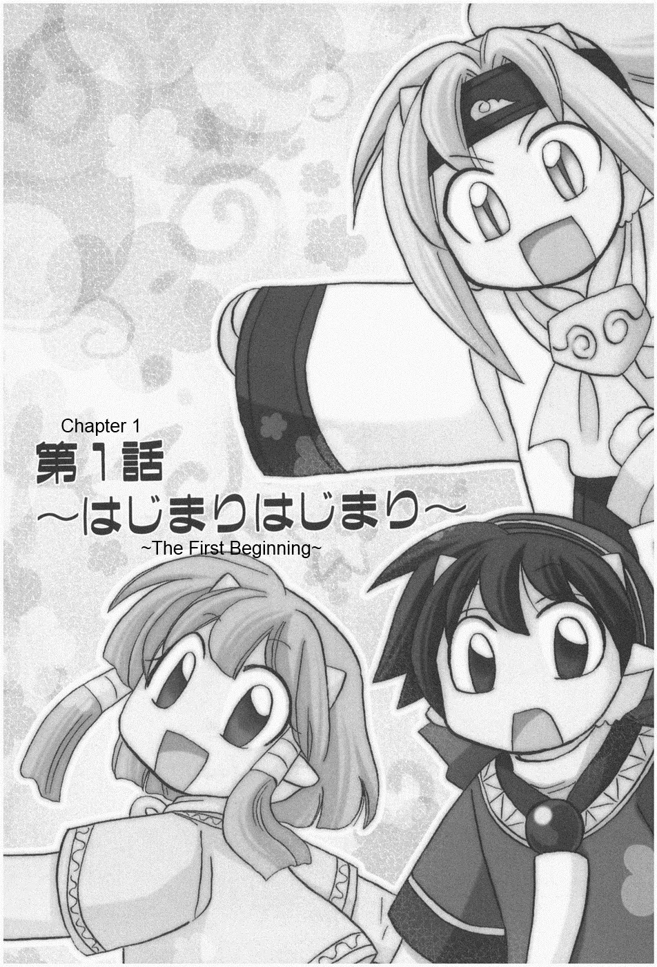 Corseltel no Ryuujitsushi - Koryuu Monogatari Chapter 1 page 12 - Chapter 1: The First Beginning