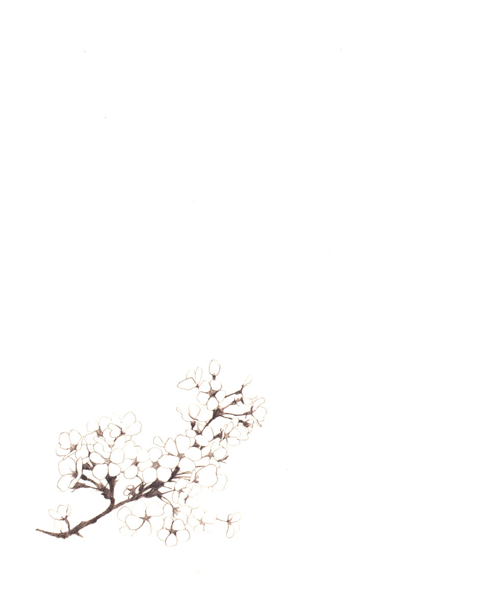 Cosmos Flower Chapter 8.2 page 6 - Chapter 8 v2 : Drawing Words