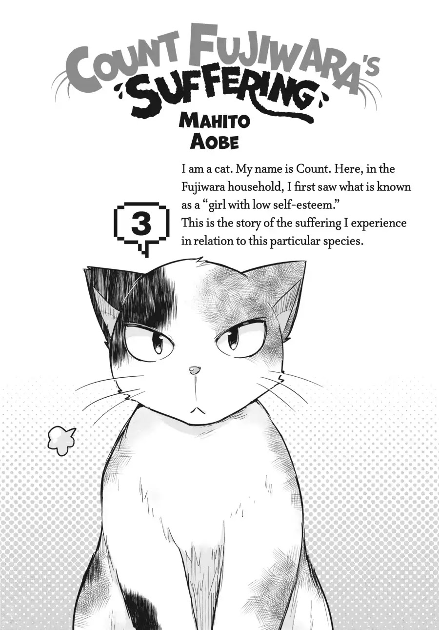 Count Fujiwara's Suffering Chapter 17 page 4 - Chapter 17: The Count and the Research Report