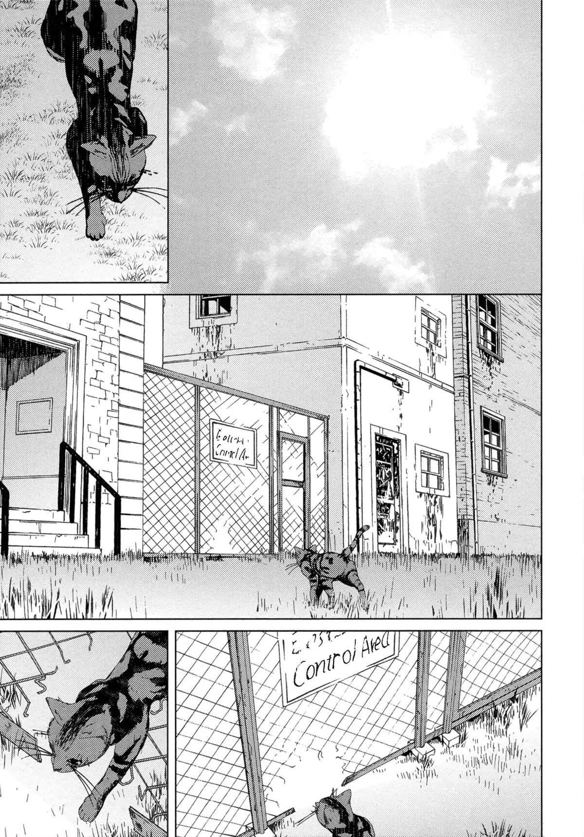 Coyote (ZARIYA Ranmaru) Chapter 5 page 31 - Chapter 5: Vol.2 scene:5