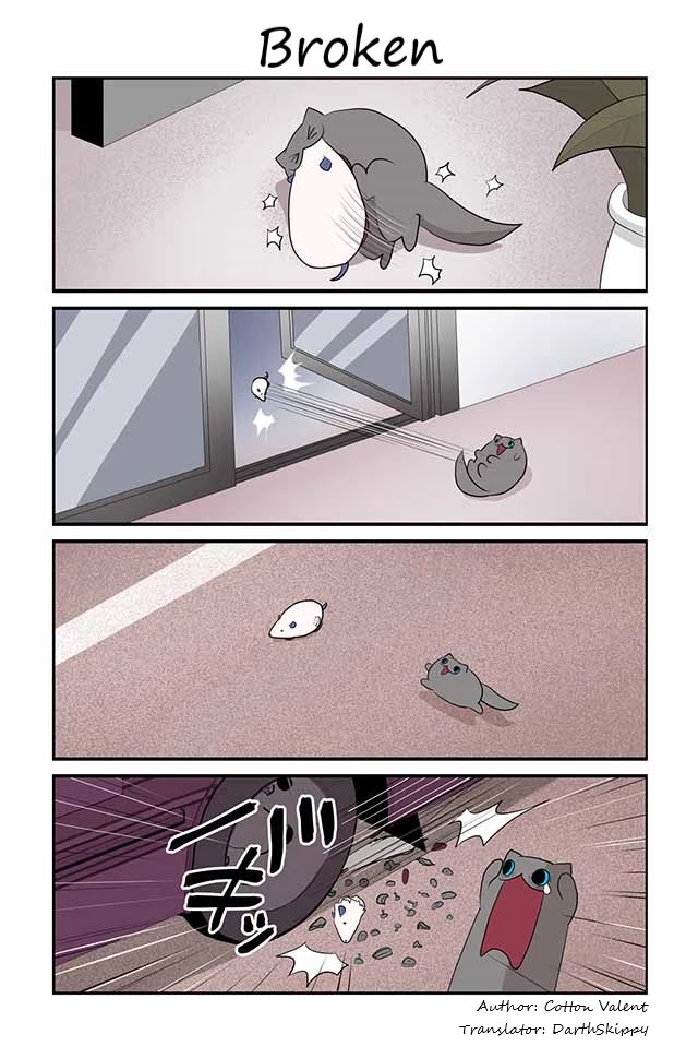 Creepy Cat Chapter 352 page 1 - Chapter 352: Broken