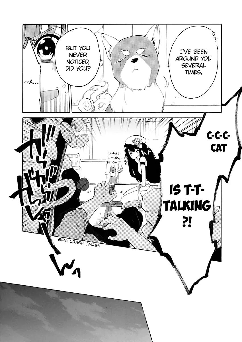 Cross x Regalia Chapter 3 page 13 - Chapter 3