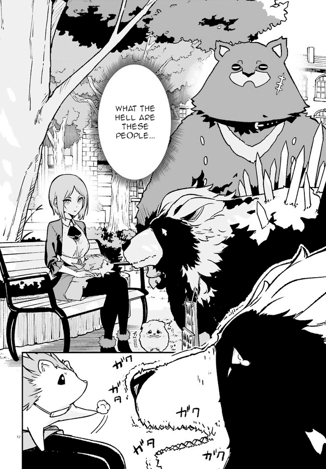 Crow Record: Infinite Dendrogram Another Chapter 5 page 12 - Chapter 5: Costumes