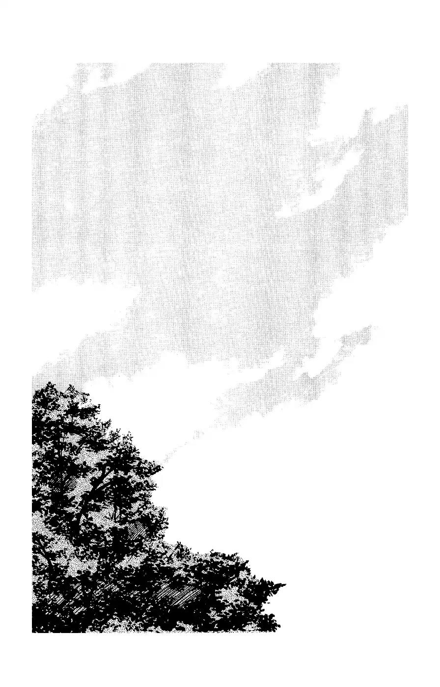 Crows Gaiden Chapter 3 page 4 - Chapter 3: Bouya Harumichi