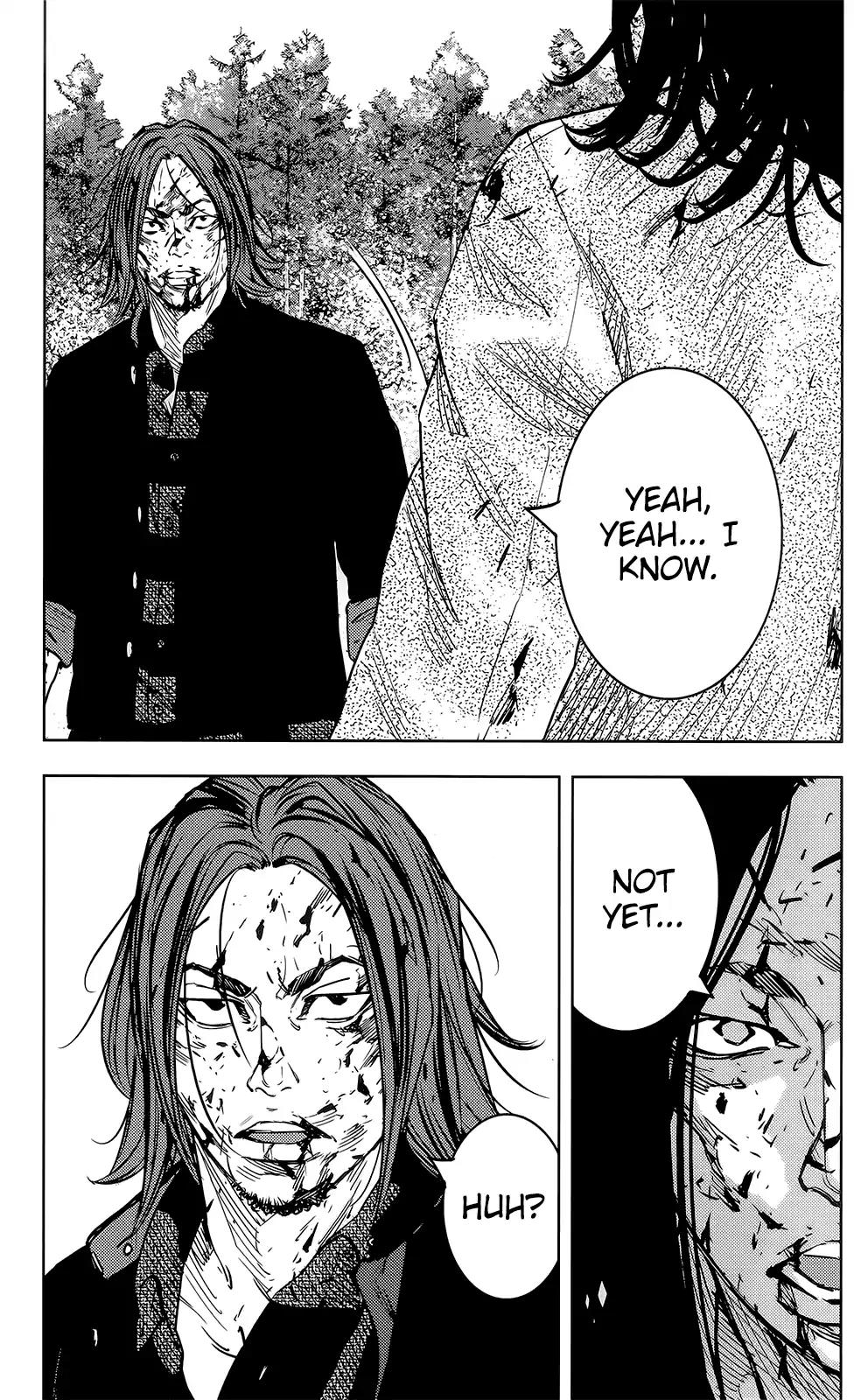 Crows Zero II: Suzuran x Houen Chapter 46 page 15 - Chapter 46: The King of the Jungle, Serizawa Tamao