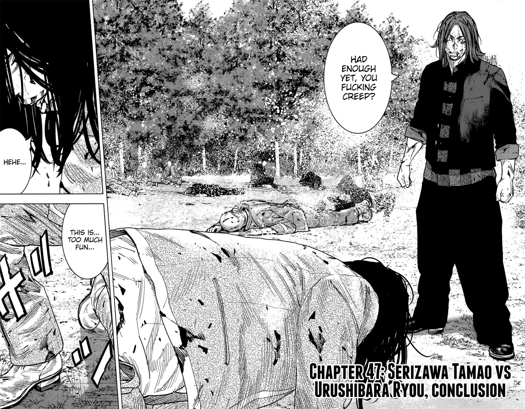 Crows Zero II: Suzuran x Houen Chapter 47 page 3 - Chapter 47: Serizawa Tamao vs Urushibara Ryou, Conclusion