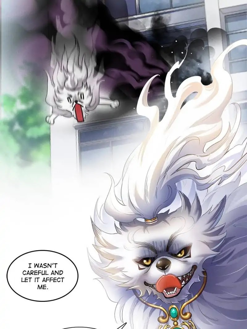 Cultivation Chat Group Chapter 70 page 55 - Chapter 70