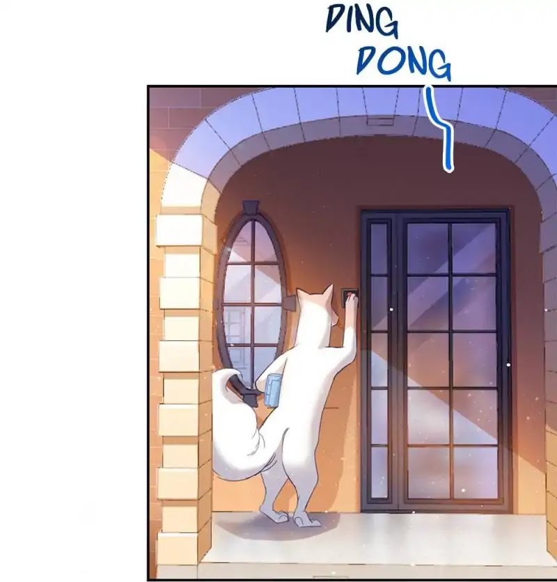Cultivation Chat Group Chapter 79 page 20 - Chapter 79