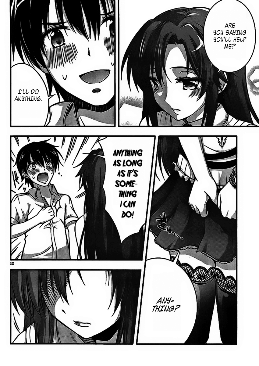 Dakara Boku wa, H ga Dekinai. Chapter 1 page 12 - Chapter 1