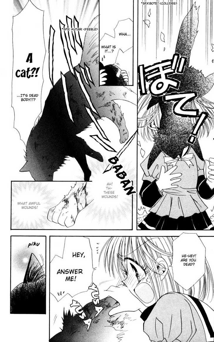 Dakishimete! Noir Chapter 1 page 8 - Chapter 1