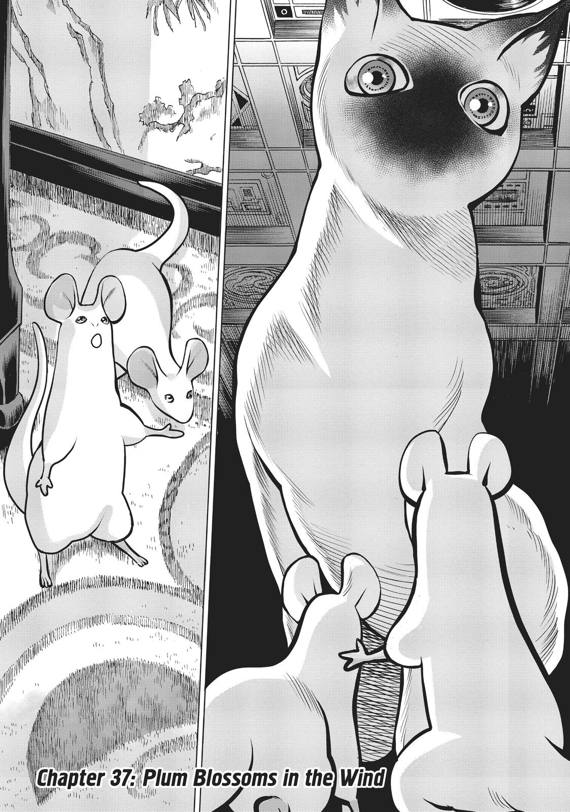 Dance in the Vampire Bund A.S.O. Chapter 37 page 2 - Chapter 37
