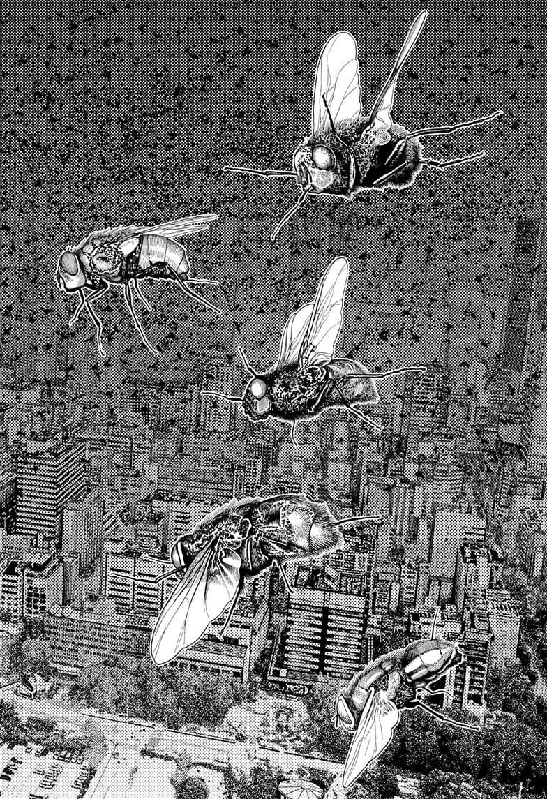 Dandadan Chapter 186 page 24 - Chapter 186: Koki Yukishiro's Power