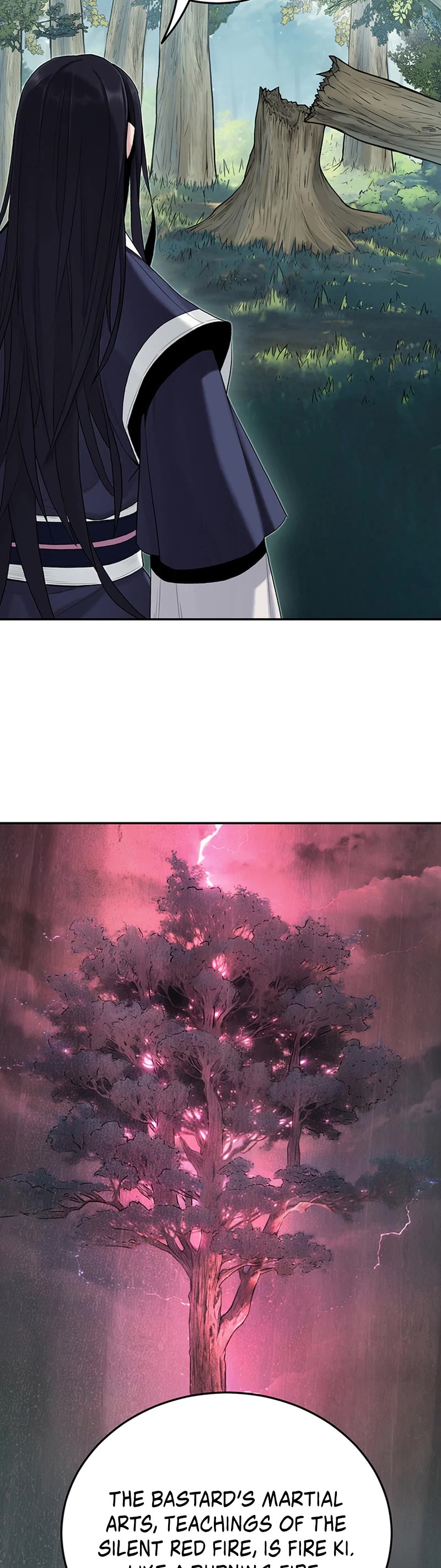 Dark and Light Martial Emperor Chapter 10 page 35 - Chapter 10: The properties of ki