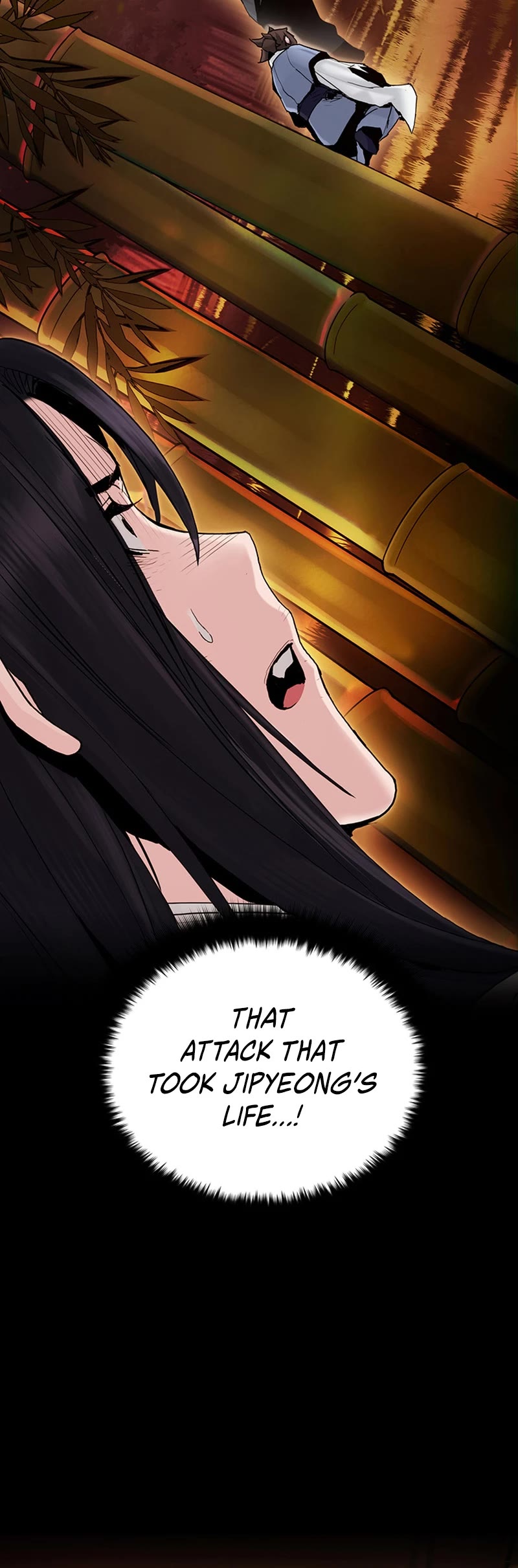 Dark and Light Martial Emperor Chapter 19 page 13 - Chapter 19: After being sure