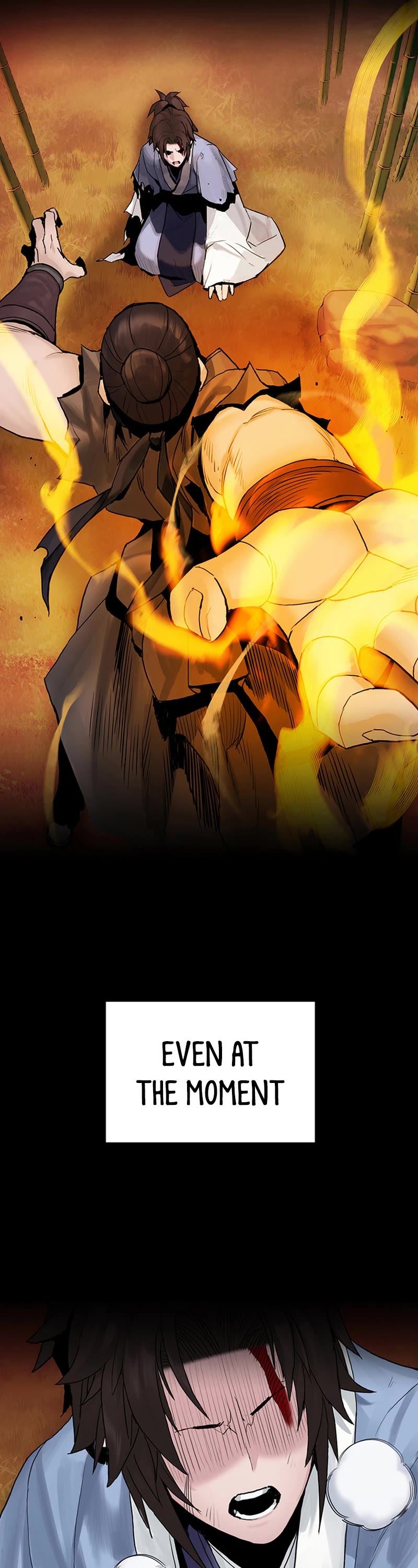 Dark and Light Martial Emperor Chapter 19 page 14 - Chapter 19: After being sure
