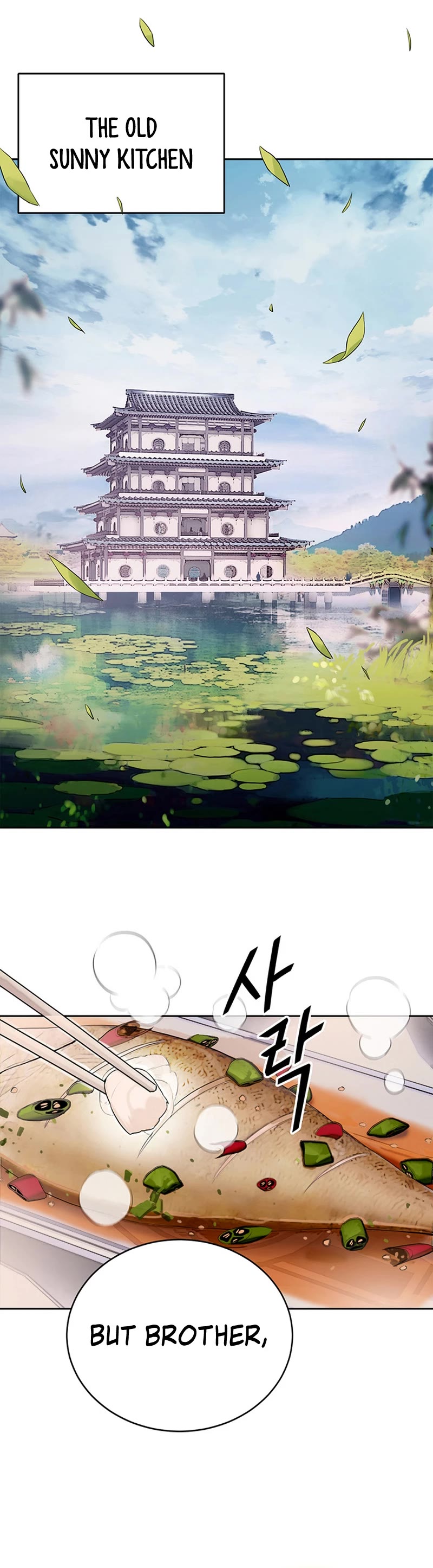 Dark and Light Martial Emperor Chapter 2 page 29 - Chapter 2: The Unfit Son of the Great Father