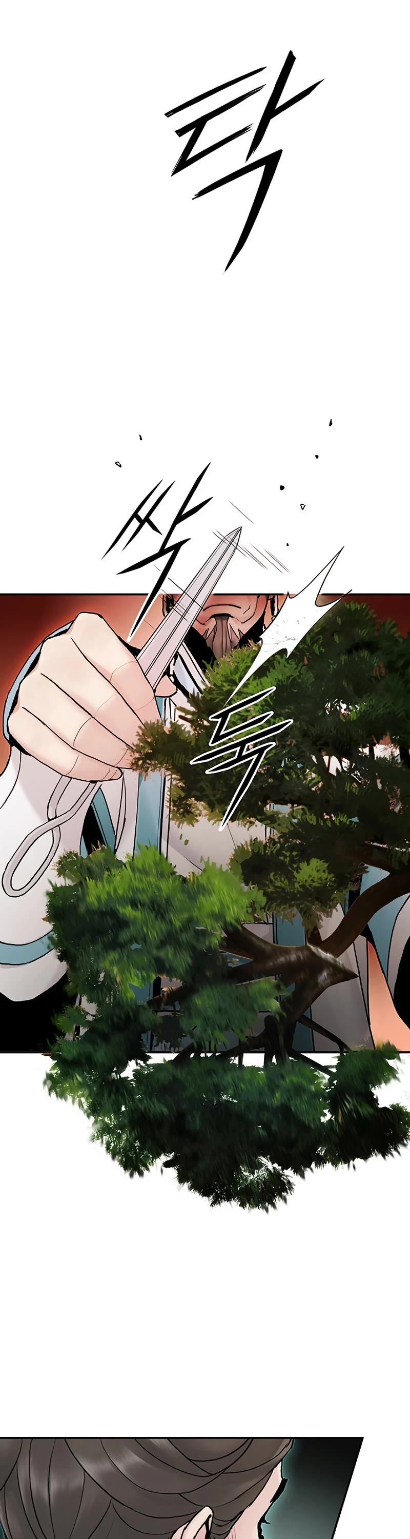 Dark and Light Martial Emperor Chapter 23 page 15 - Chapter 23: Preparations for the encounter