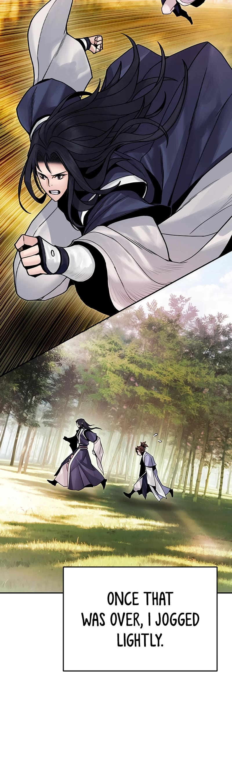 Dark and Light Martial Emperor Chapter 23 page 27 - Chapter 23: Preparations for the encounter