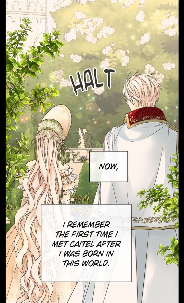 Daughter of the Emperor Chapter 224 page 49 - Chapter 224: [End of Season 5]