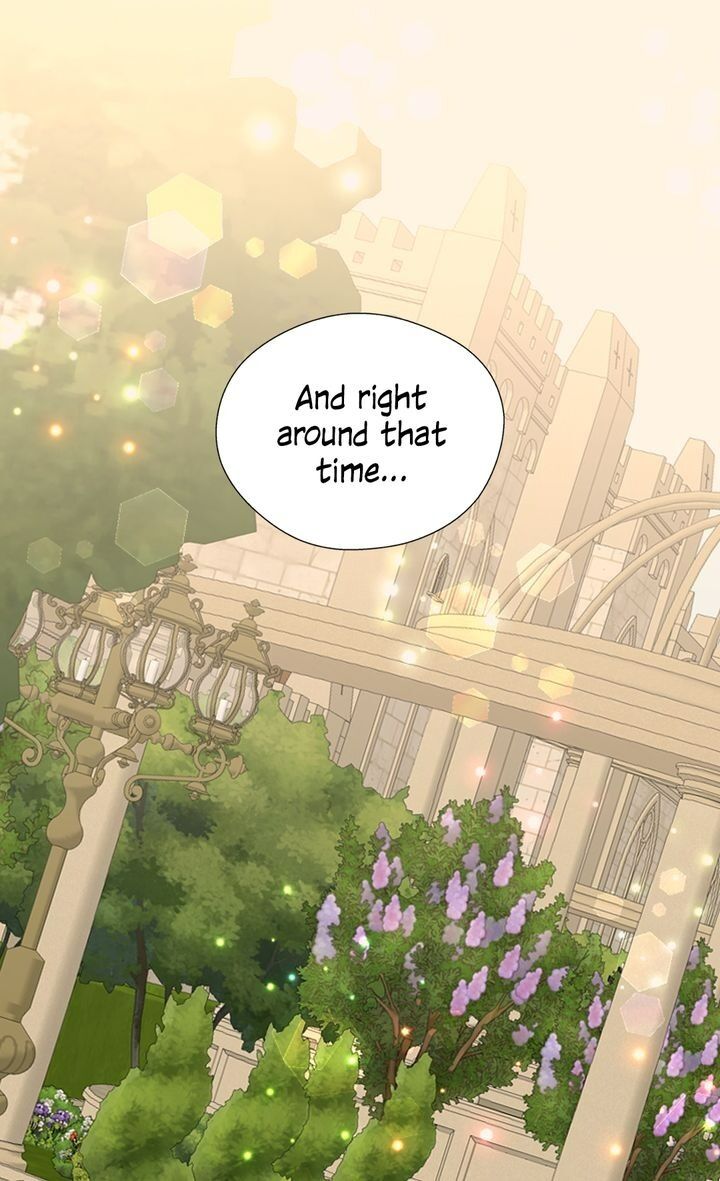 Daughter of the Emperor Chapter 233 page 36 - Chapter 233