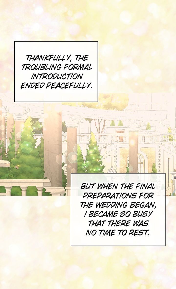 Daughter of the Emperor Chapter 236 page 13 - Chapter 236