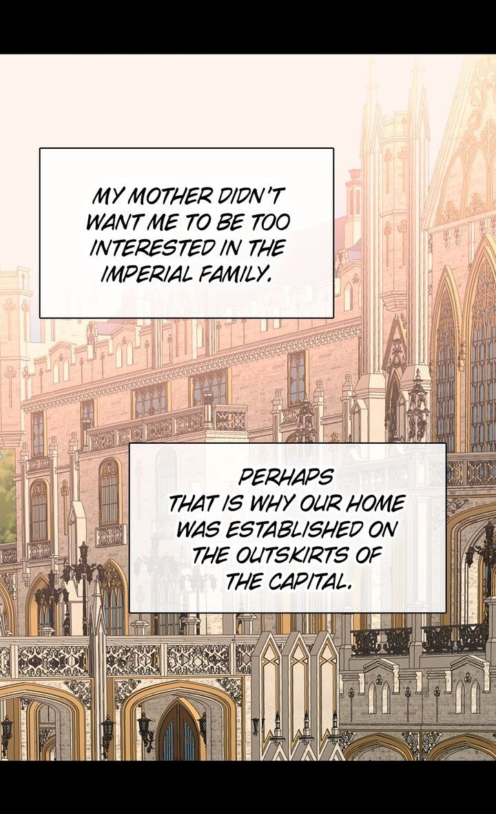 Daughter of the Emperor Chapter 238 page 43 - Chapter 238