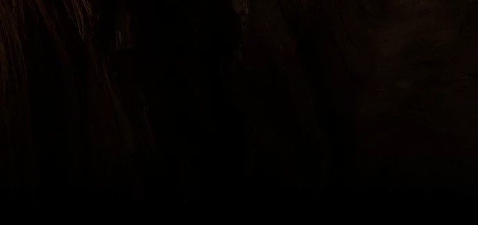 Dawn of the Frozen Wastelands Chapter 1 page 3 - Chapter 1 : Return of the king