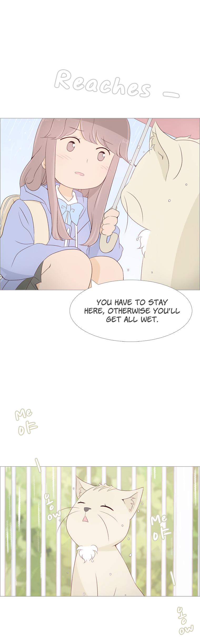 Dear Future You Chapter 9 page 21 - Chapter 9